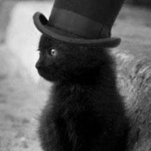 Meet your Posher, Teresa y.